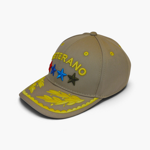 AEGIS Gorra Beisbolera Veterano