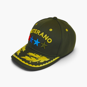 AEGIS Gorra Beisbolera Veterano